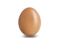 king egg