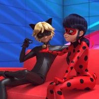 Interview w Cat Noir