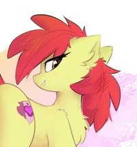 Apple Bloom