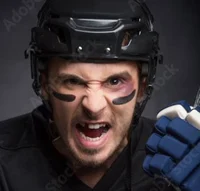 ANGRY HOCKEY 