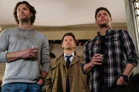Team Free Will