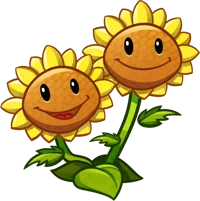 Twin Sunflowers