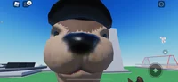 Roblox Otter