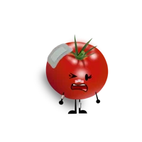 Cherry Tomato 
