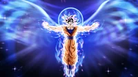 Angel ki Goku