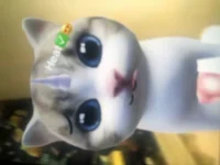 brown White Cat Heat