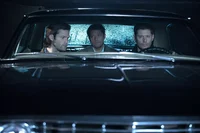 Team Free Will