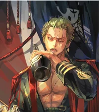 Drunk Roronoa Zoro