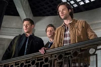 Team Free Will