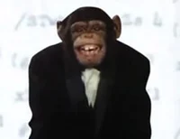 Cyriak - Chimpnology