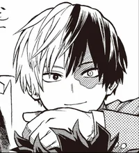 Shoto Todoroki