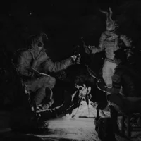 Black Rabbits