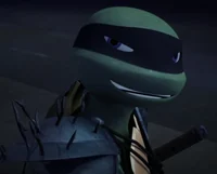 Broken foot Leonardo