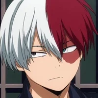 Shoto Todoroki 