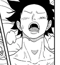 Monkey D Luffy