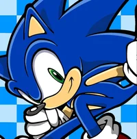 Sonic the hedgehog 