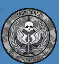 Task Force 141