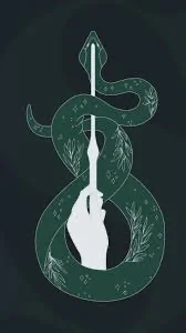 The slytherin  boys 