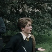 Cedric Diggory