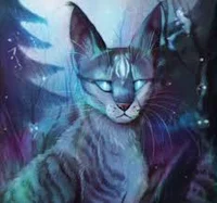 WC -- JAYFEATHER