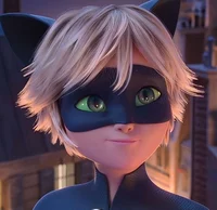 Cat noir