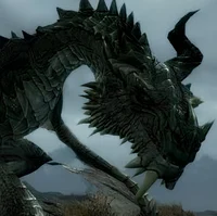 Paarthurnax