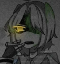 Serial Designation S