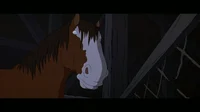 Thunder the horse