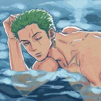 Model Zoro 