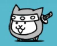 Ninja Cat