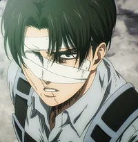 Levi Ackerman 