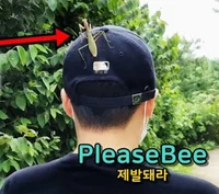 Pleasebee 