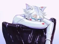 Chat Blanc