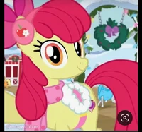 Apple Bloom