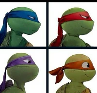 The ninja turtles 