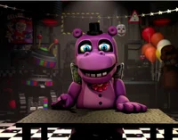 Mr Hippo