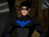 Nightwing Comfortbot