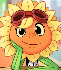 PVZ- Solar flare