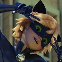 Chat noir 