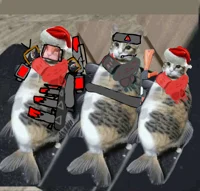 fishy kitty trio 