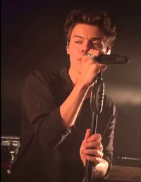 Harry styles 
