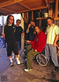 Korn
