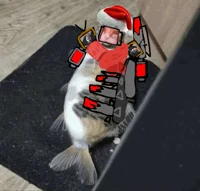 super fish cat