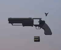 Gun raiders Revolver