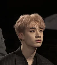 BangChan 