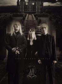 The Malfoy Family