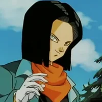 Android 17