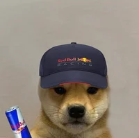 Dog verstappen 
