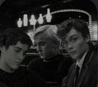 Draco tom and Matheo