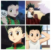 Gon